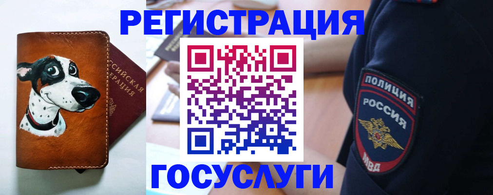 временная регистрация в квартире в Калачинске